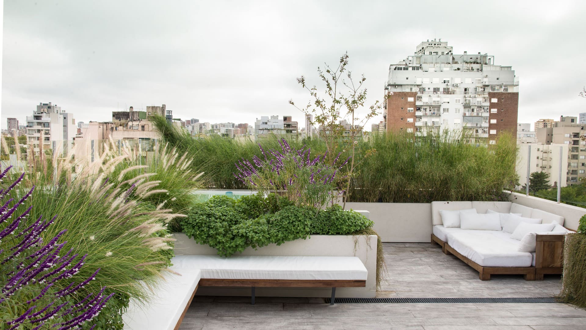 Una terraza que se aprovecha bajo una pérgola por la que trepan ampelopsis y jazmines azóricos.