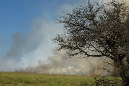 Se aproxima la temporada de incendios que se extiende desde noviembre hasta marzo de 2020.