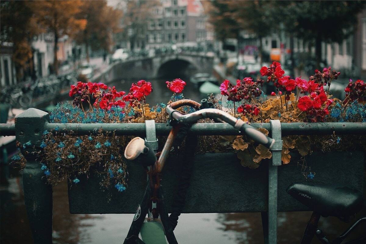 Se apuesta actualmente por ciudades de proximidad, con sitios accesibles en poco tiempo a pie o en bicicleta