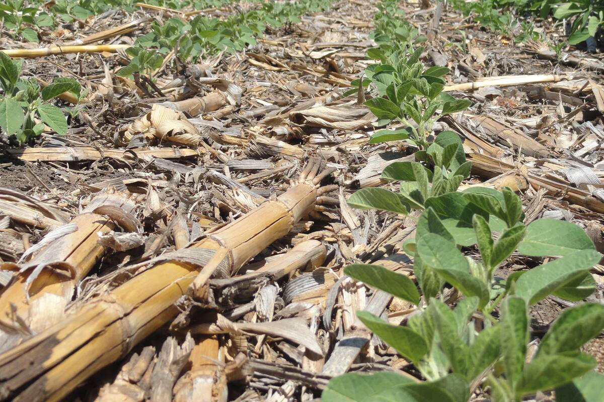 Se apunta a mayor producción sustentable