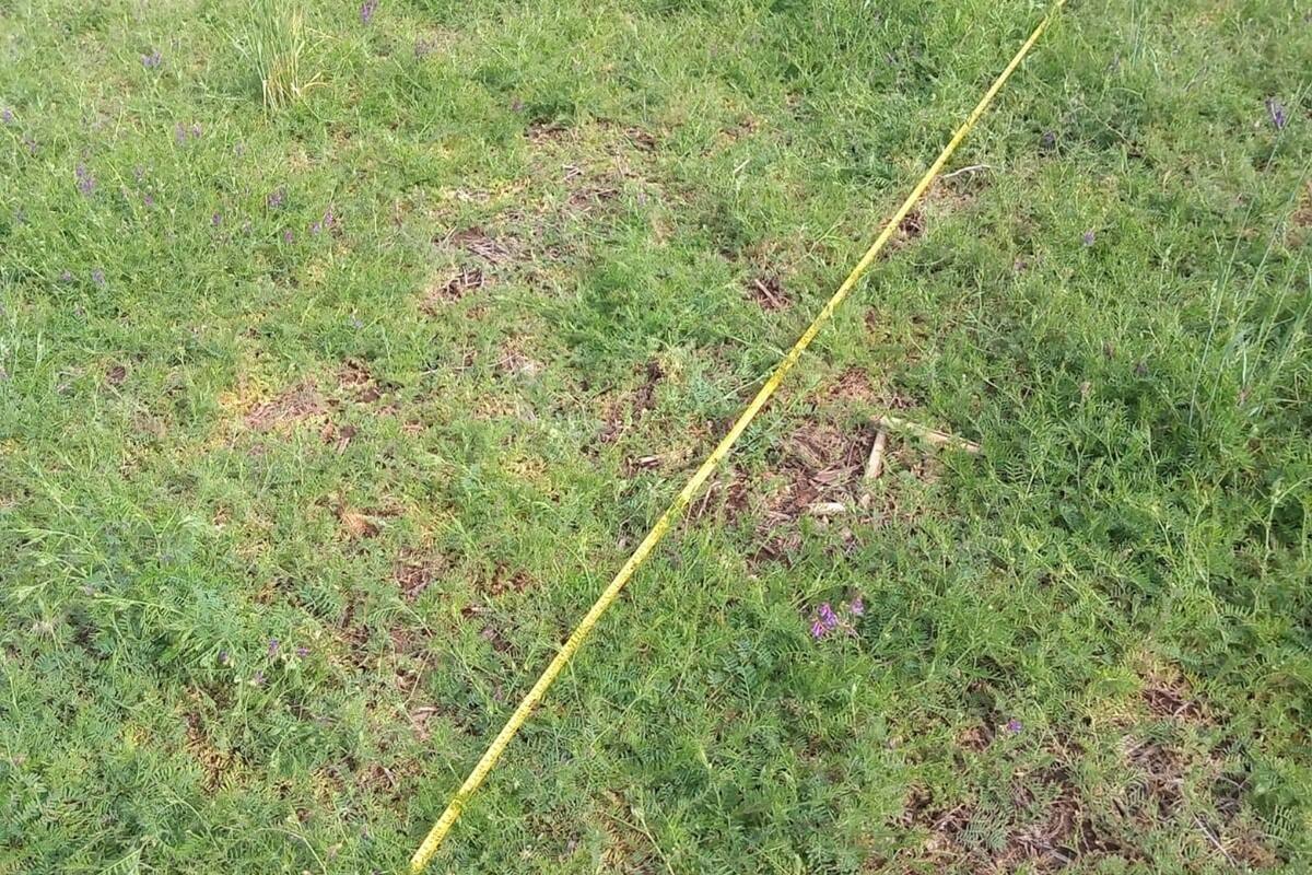 Se apunta a un manejo más eficiente para el control