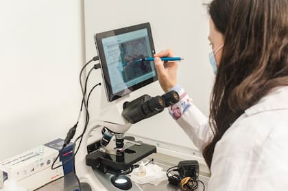 Se asociaron a equipos científicos para trasladar el concepto obtenido en laboratorio a un prototipo escalable y funcional