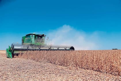 Se busca el máximo rinde