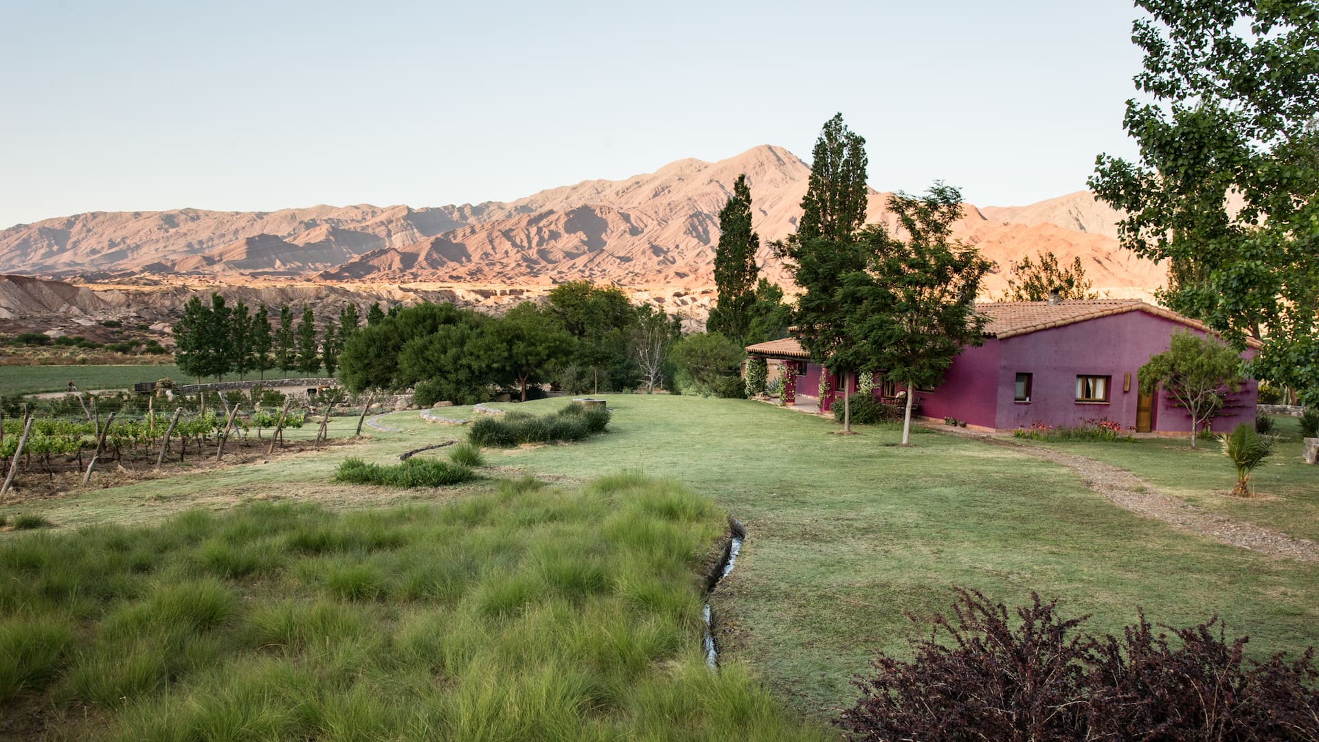 Se buscó personalidad sin perder la conexión con el paisaje