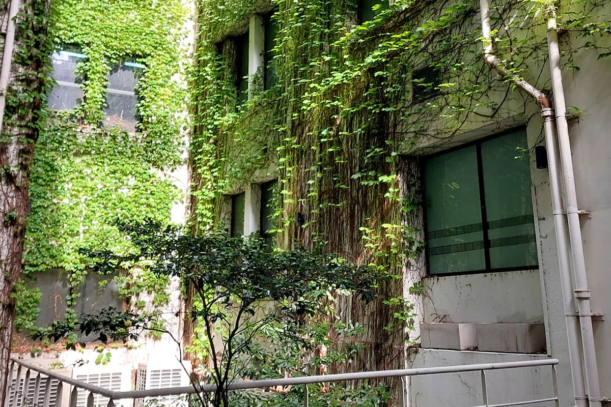 Se caracteriza por el verde en su interior