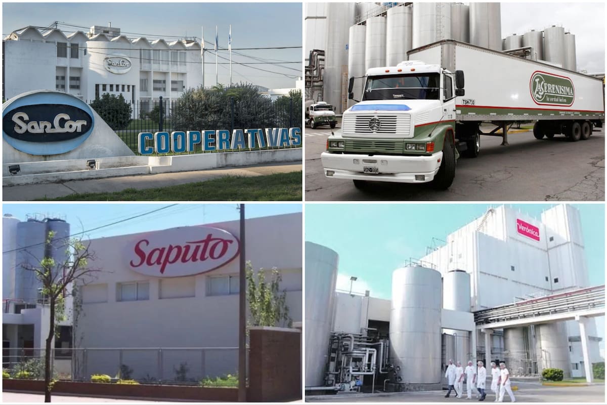 Se conoció el nuevo ranking de la industria lechera argentina