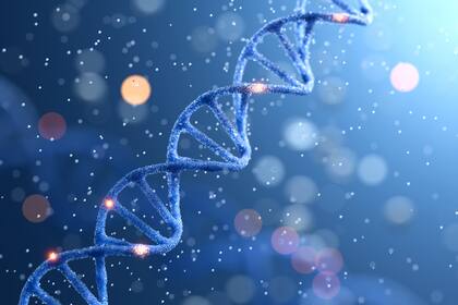 Se consolida la alianza entre algoritmos y ciencias de la vida: fármacos, diagnósticos y proteínas en modo acelerado