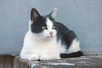 Se convirtió en una leyenda aunque algunos no creen su historia