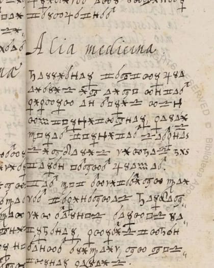 Se cree que el cifrado Borg tiene unos 400 años y contiene una mezcla de símbolos cifrados y algo de escritura latina en sus 408 páginas