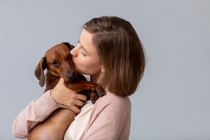 Se cree que hay una conexión espiritual entre los animales y las personas (Foto: Freepik)