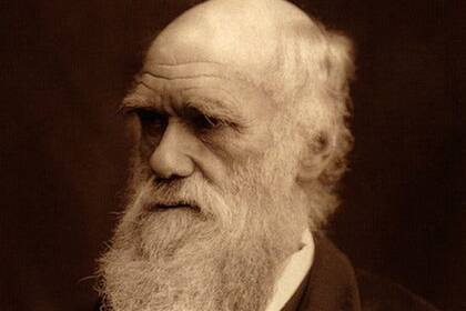 Se cumple un nuevo aniversario de la muerte de Charles Darwin