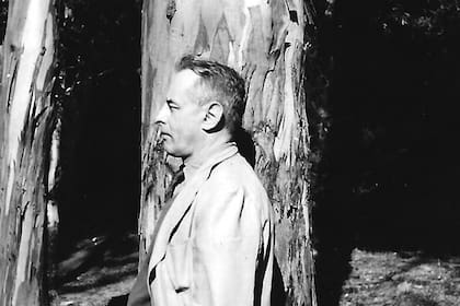 Se cumplen 50 años de la muerte del autor de Ferdydurke