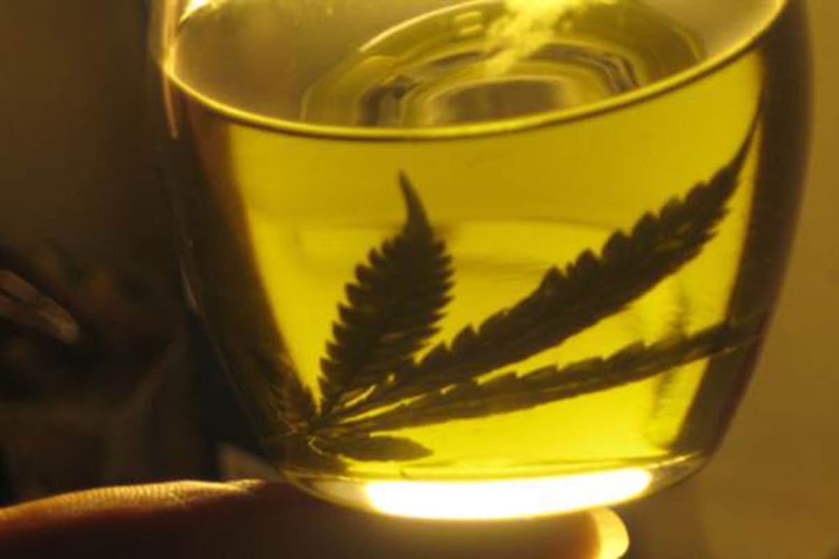 Se debate el uso del aceite de cannabis para tratar el glaucoma