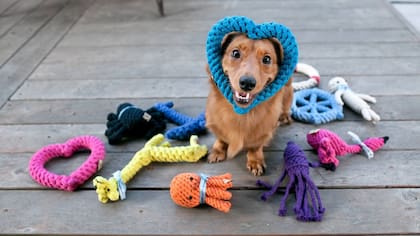 Se debe tener cuidado con utilizar materiales tóxicos cuando se decoran los objetos para evitar que el perro ingiera algo que le pueda provocar un problema
