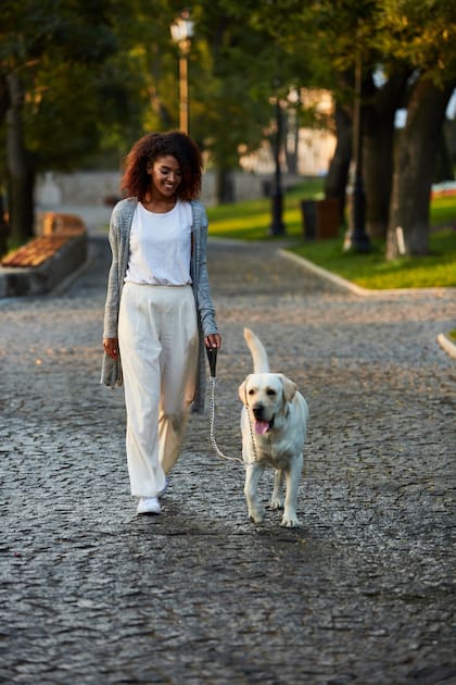 Se debe trabajar con los refuerzos positivos (Foto: Freepik)