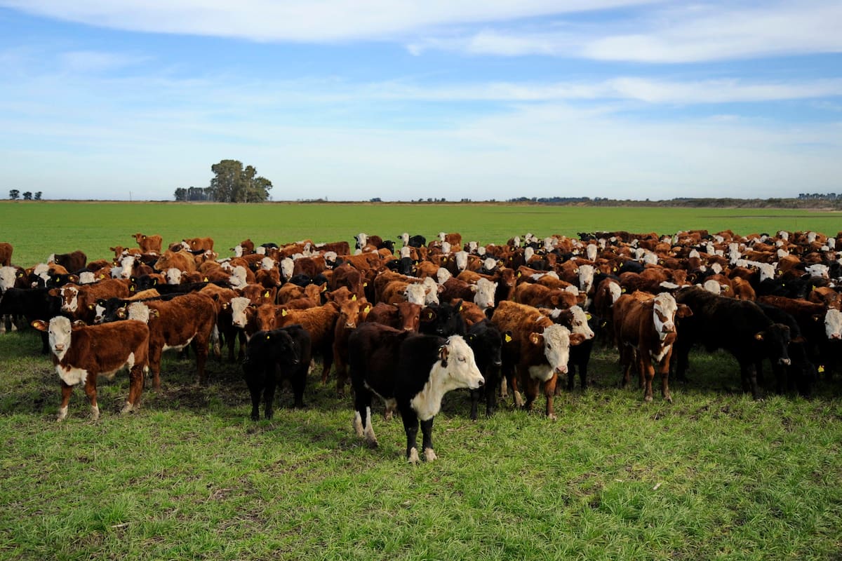Se deben analizar distintas fuentes para la alimentación