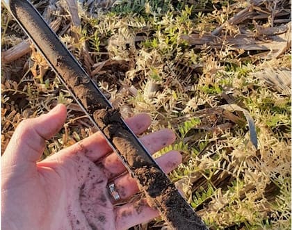 Se deberá tener en cuenta que, pasando la profundidad de un metro, el suelo sigue seco y a menos que se produzcan nuevas precipitaciones, se cubrirán los requerimientos hídricos del cultivo durante junio e incluso gran parte de julio. Para agosto/septiembre será crucial contar con lluvias que recarguen el perfil