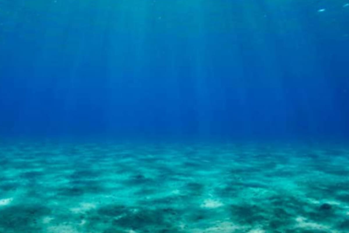 Se deberían invertir hasta 3000 millones de dólares para estudiar todo el fondo del mar