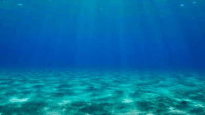 Se deberían invertir hasta 3000 millones de dólares para estudiar todo el fondo del mar