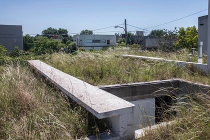 Se dejó crecer el banco de semillas que portaba el suelo vegetal para producir una pradera-pastizal espontánea.