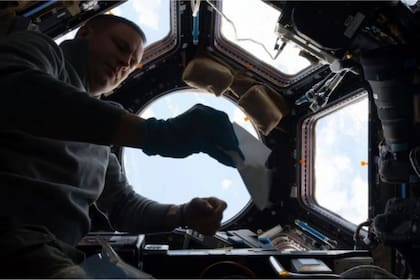 Se descubrió que bacterias y hongos capaces de sobrevivir en condiciones extremas prosperan en la Estación Espacial Internacional
