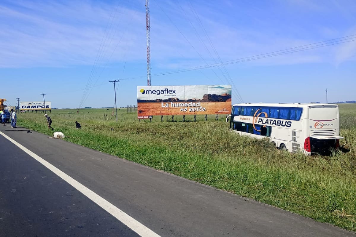 Se despistó un micro en la ruta 2: el chofer sufrió un paro cardíaco y murió