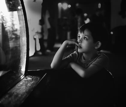 Se destaca una mayor frecuencia de mente en blanco entre los niños con TDAH (Foto ilustrativa: PIXABAY)