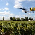 Una oportunidad para exportar conocimiento agropecuario