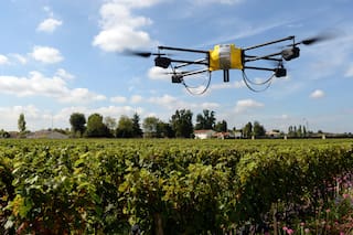 Una oportunidad para exportar conocimiento agropecuario