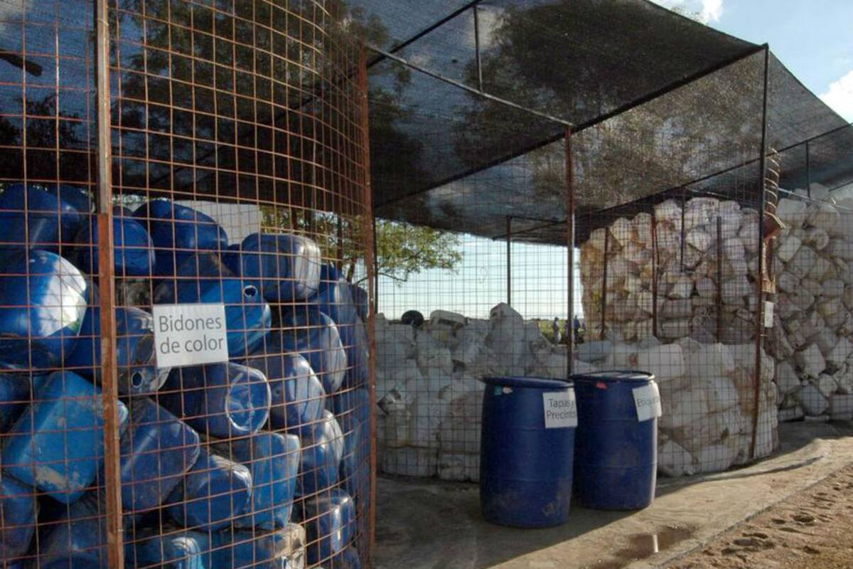 Se destinan 17 millones de envases para el uso de fitosanitarios