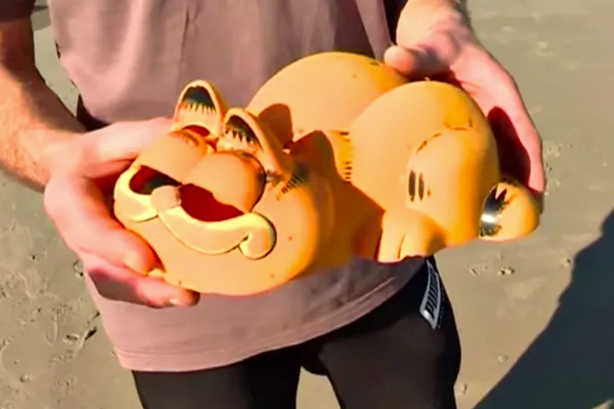 Se develó el misterio de los teléfonos de Garfield que llegaban a las playas franacesas y que son un símbolo local de la contaminación marina.