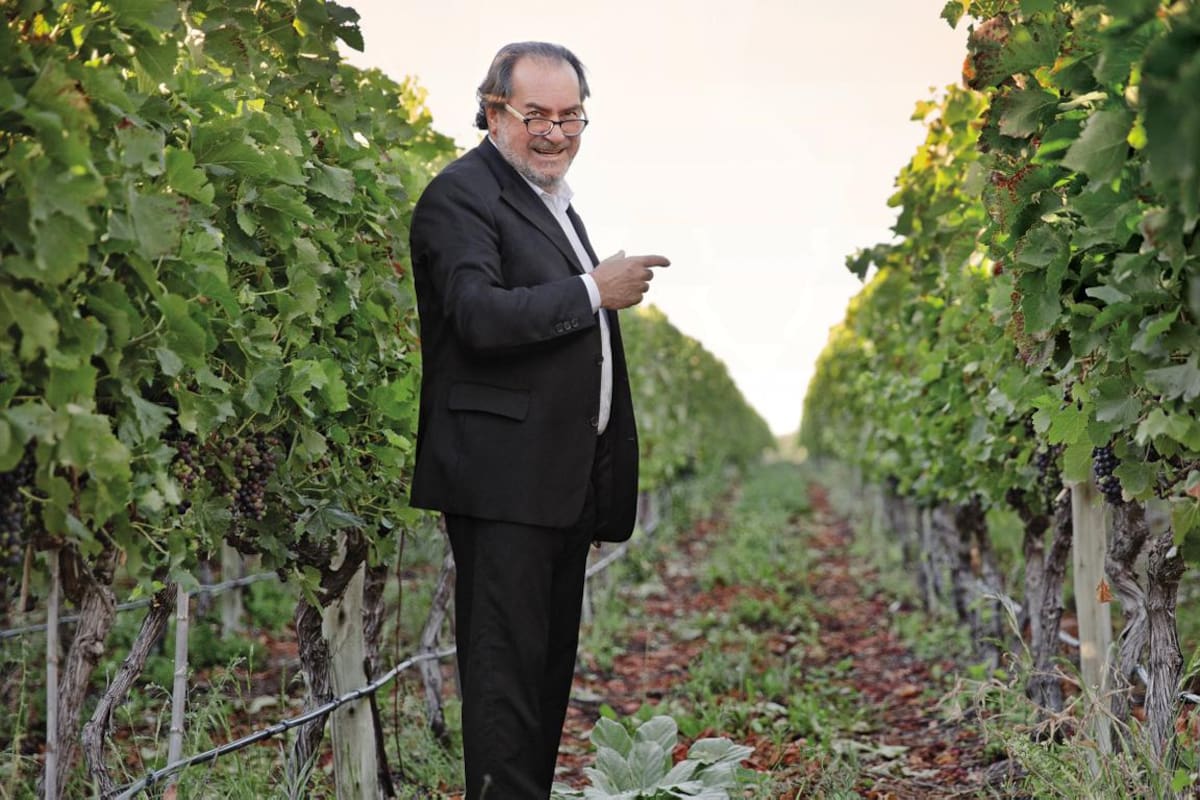 Se dice que descubrió el Malbec argentino. Su última y exitosa apuesta fue el Valle de Uco.