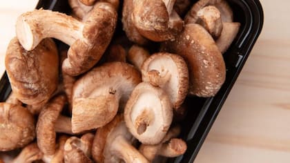 Se dice que el hongo shitake (Lentinula edodes) "ayuda a las funciones de tu sistema inmunológico para enfrentar mejor las infecciones"