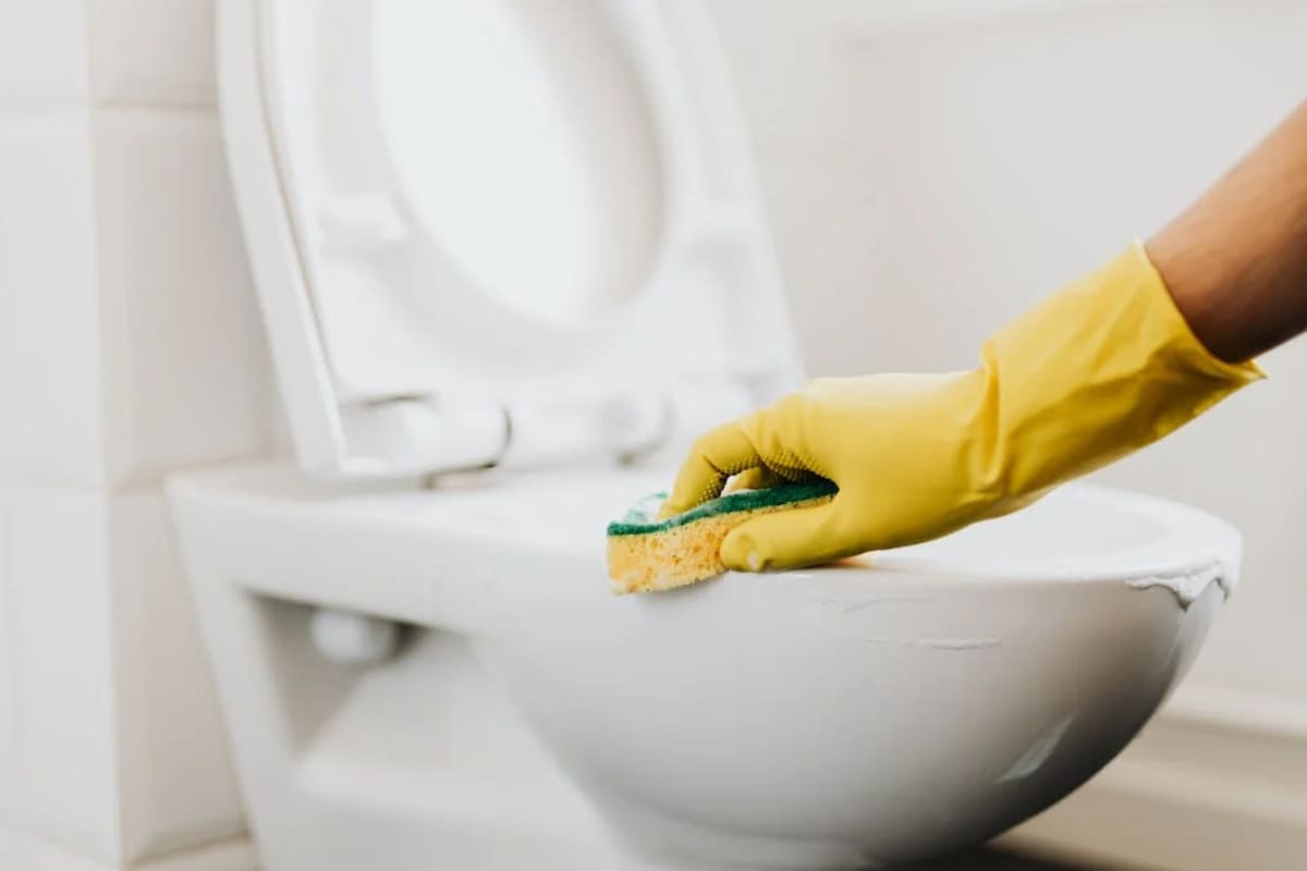 Se dio a conocer el producto que es el mejor aliado para la limpieza del inodoro (Foto ilustrativa: Pexels)