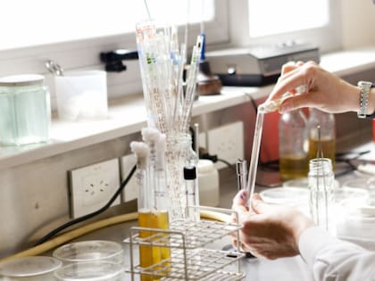 Se eliminó la obligación de presentar habilitaciones municipales o provinciales en una serie de trámites clave para la actividad agropecuaria, como gestiones vinculadas a laboratorios, establecimientos productivos, terminales de carga, predios con animales y empresas de productos veterinarios