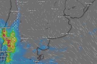 Alerta roja en Neuquén por lluvias fuertes y nevadas