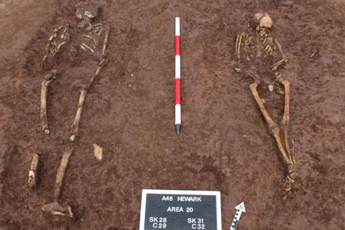 Se encontraron siete tumbas humanas, aunque todavía se desconoce cuánto tiempo llevan allí