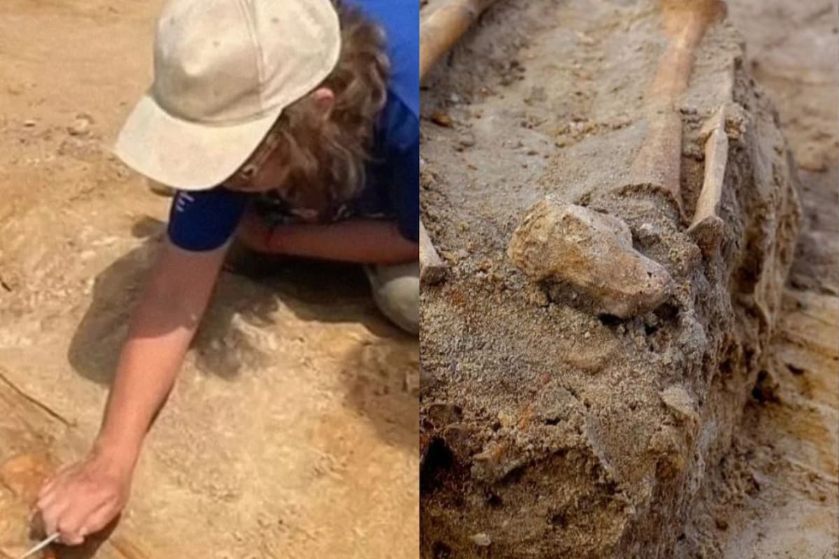 Se encontraron varios restos de esqueletos en el sitio (Fotos: Łukasz Czyżewski. Universidad de Nicolás Copérnico en Torun)