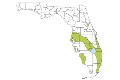 Se encuentra sobre todo en el sur y centro de Florida, llegando hasta Tampa y con focos aislados en el norte y en Georgia