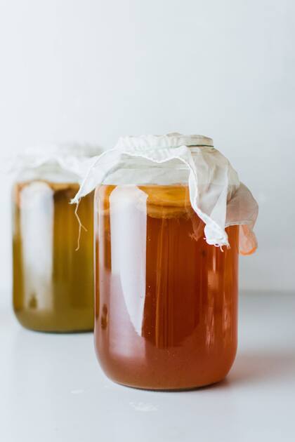 Se encuentras también en la Kombucha