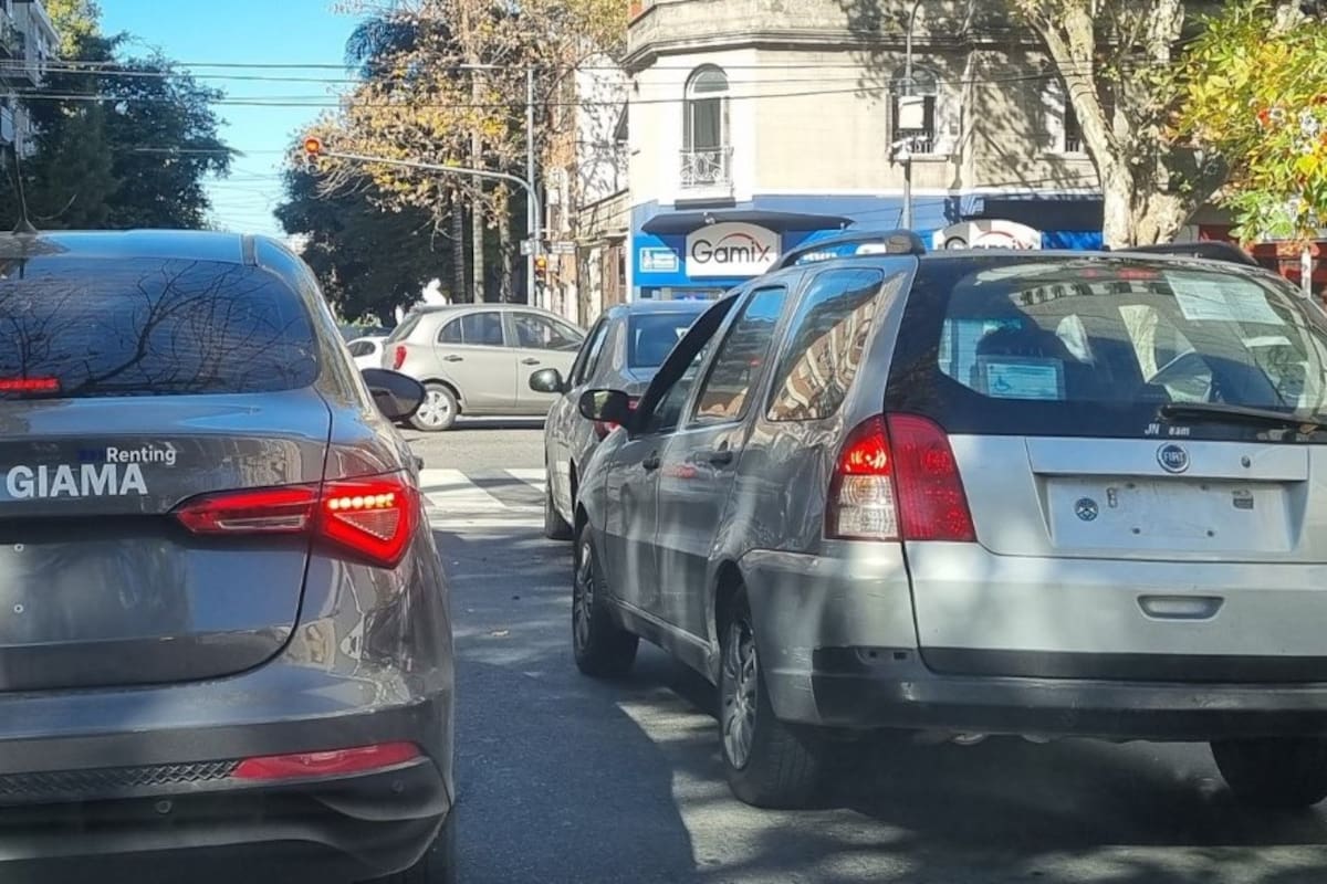Se entregaron poco más de 400.000 patentes provisorias en el último año | X: @luisbremer