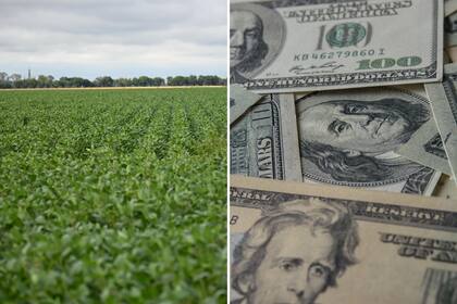 Se espera que en abril y mayo se aceleren las liquidaciones del sector agroexportador y sumen oferta al mercado de cambios