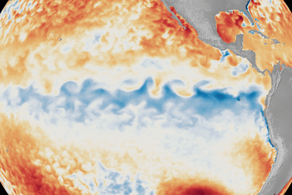 “Se espera que las precipitaciones se desarrollen en toda la cuenca del Plata, que involucra la zona del río Paraná, del río Uruguay y del río Paraguay, y eso puede producir crecidas que afecten islas y campos vecinos”, alertó el experto