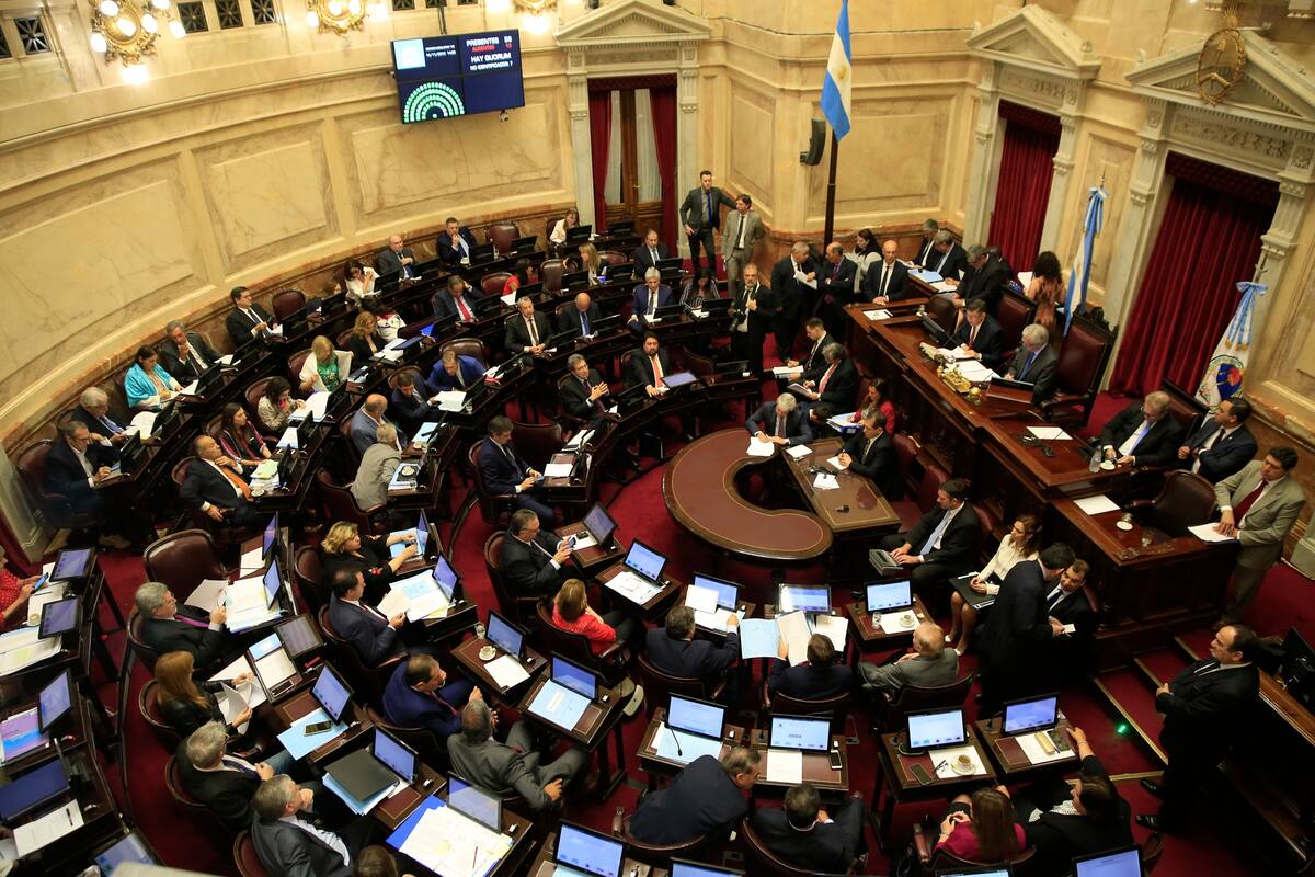 Se espera que los senadores voten el proyecto a la madrugada