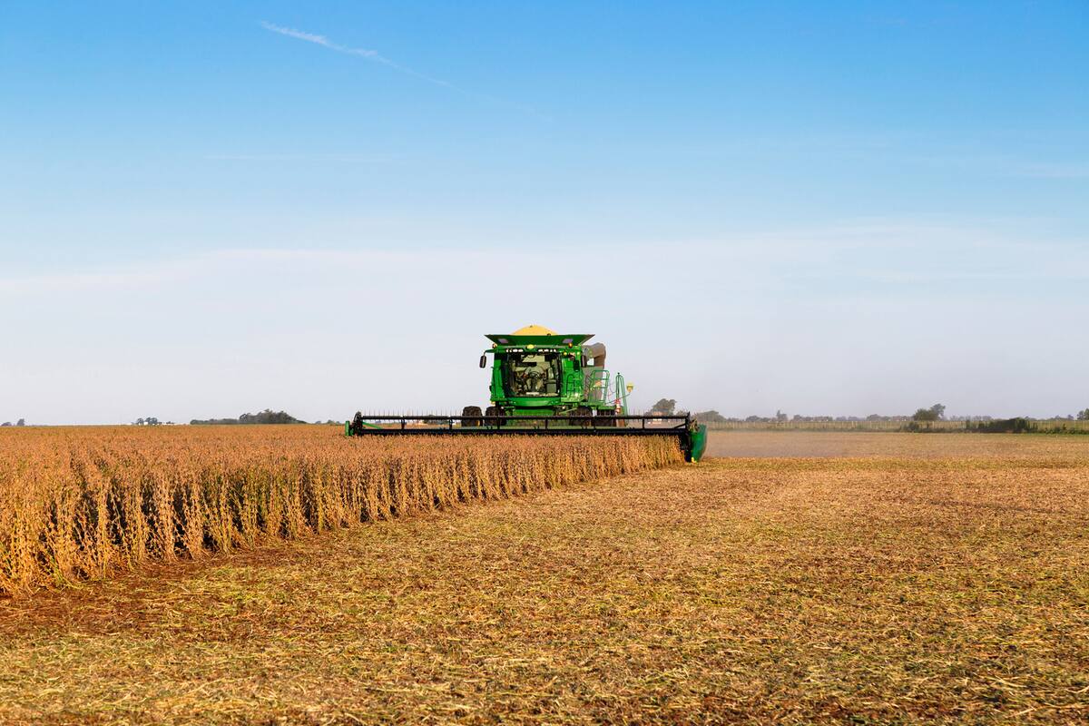 Se espera una mayor ralentización de la recuperación económica, ya que aumentará el costo del financiamiento para hacer inversiones, y porque bajarán los precios de las principales exportaciones argentinas (granos y petróleo)