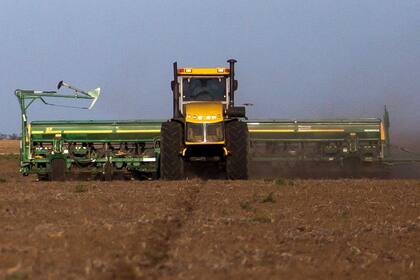 Se espera una nueva expansión de la siembra