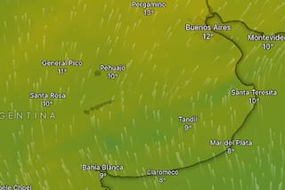Hay alerta amarilla por vientos, nevadas y Zonda para este sábado 5 de septiembre