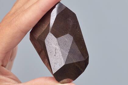 Se estima podría alcanzar un precio de entre 4,1 y 6,8 millones de dólares