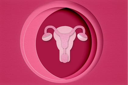 La razón por la que a la selección natural "no le importa tanto" la salud de las mujeres