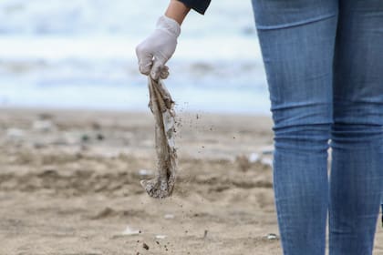 Se estima que entre el 40 y el 60% de las tortugas ingieren plásticos y que en algunas especies de aves este porcentaje se eleva incluso hasta el 93%.